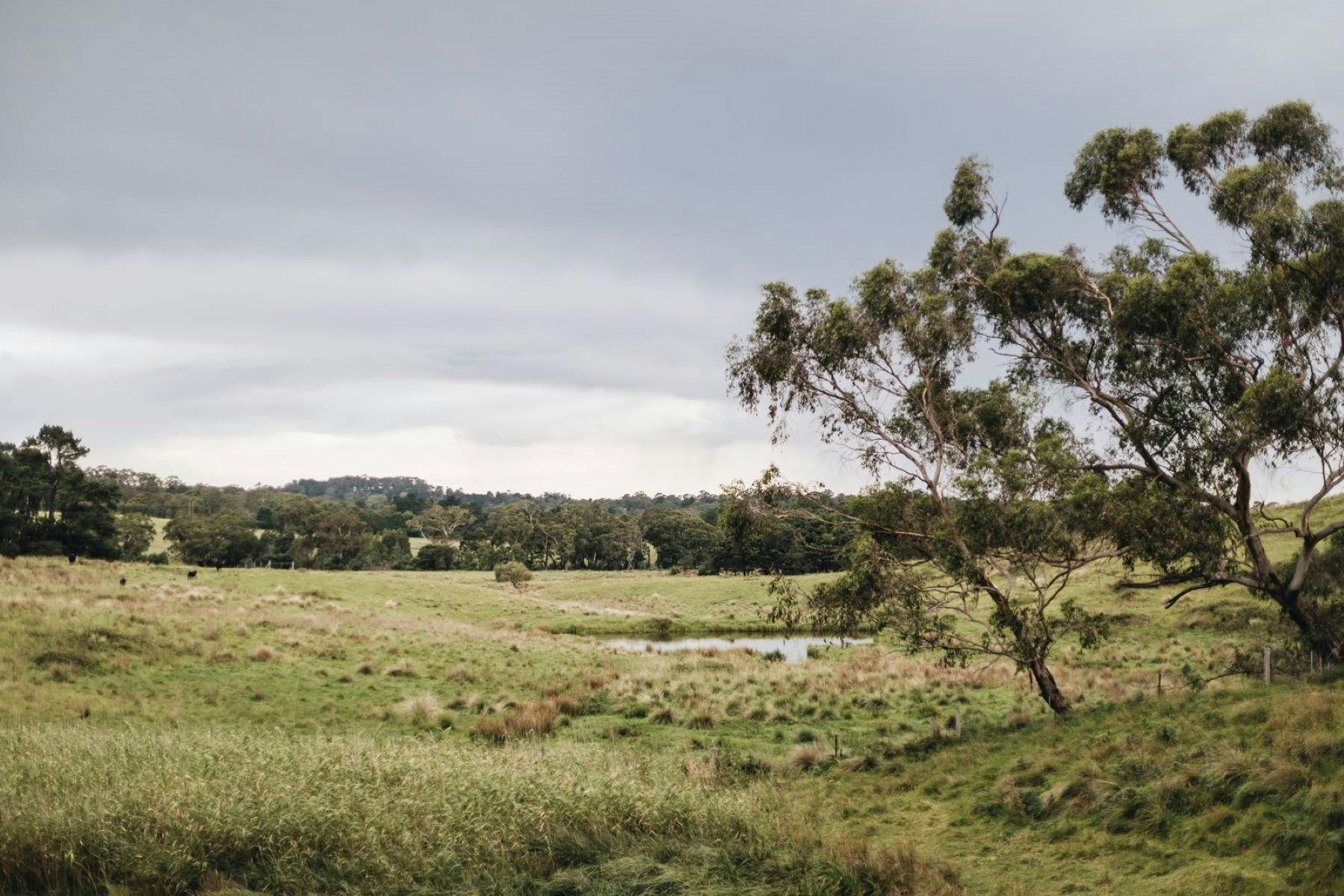 방목장과 댐 너머로 멀리 보이는 풍경