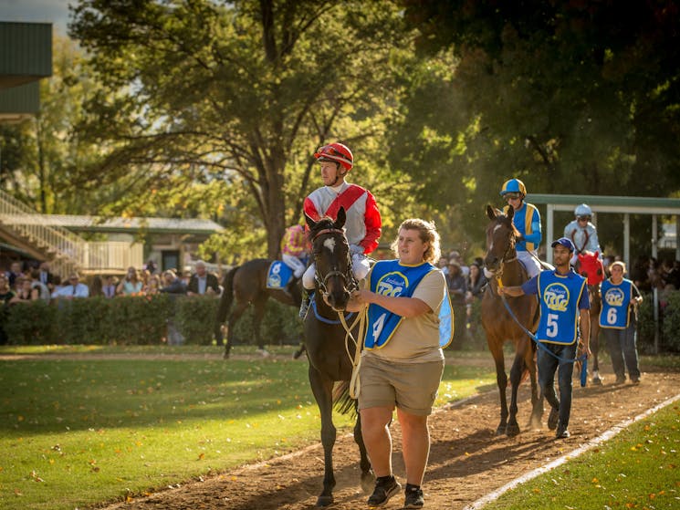 Bathurst Thoroughbred Racing