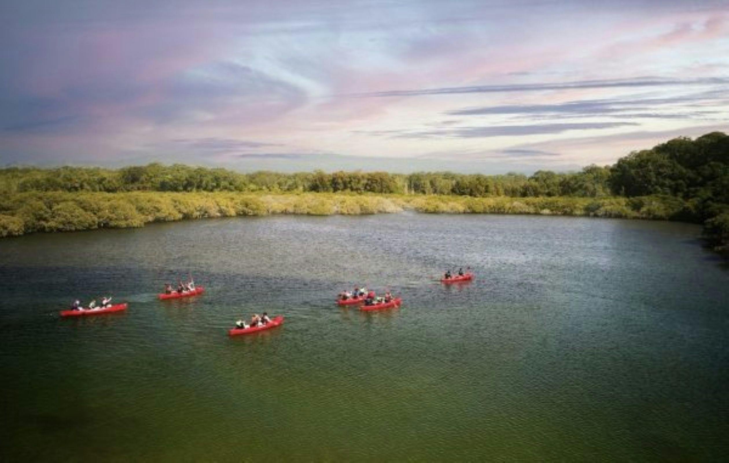 Group of people in red canoes on a river