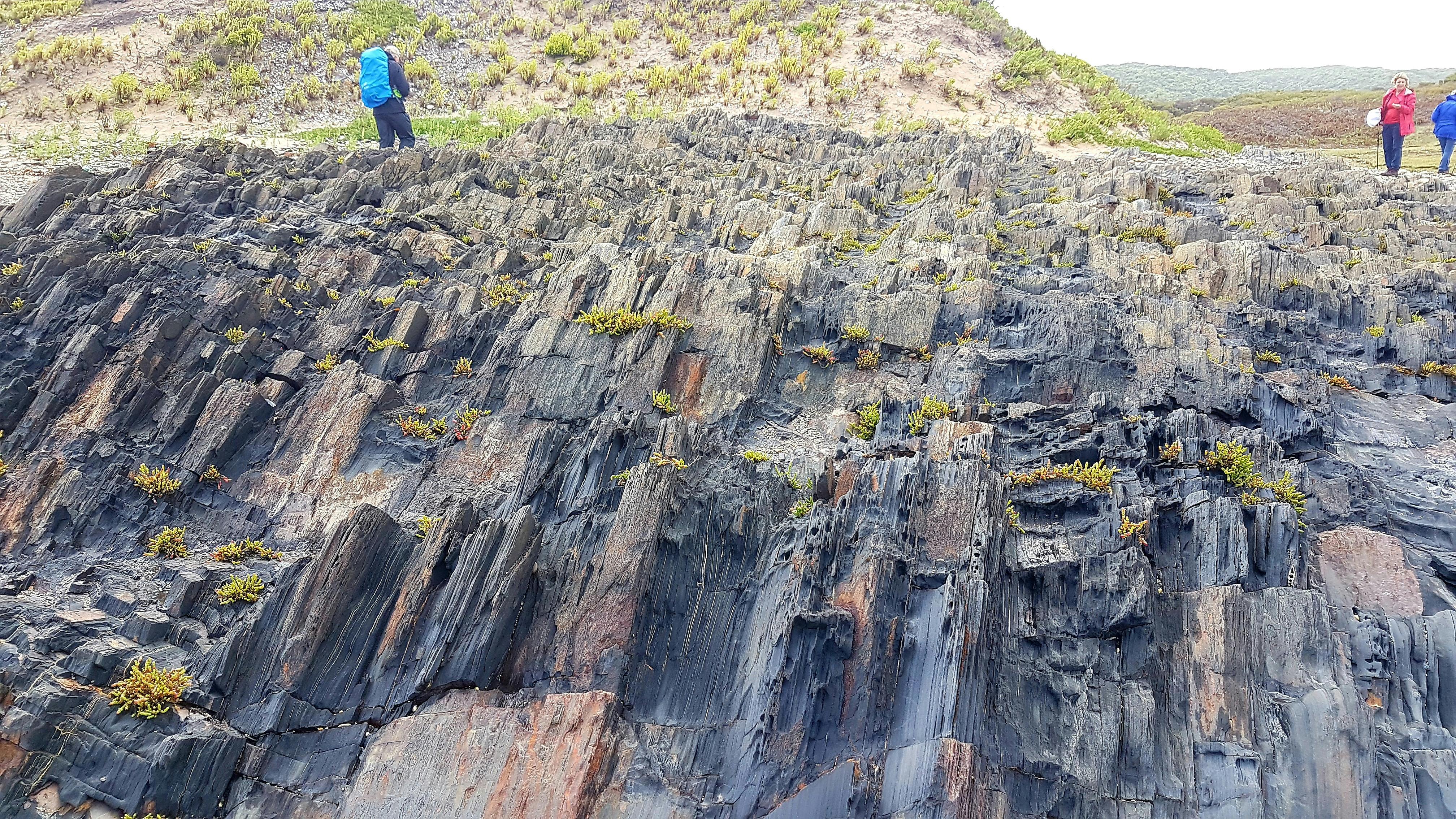 Group walking on the Tarkine Wilderness Pack-Free Walk Experience by Life's An Adventure