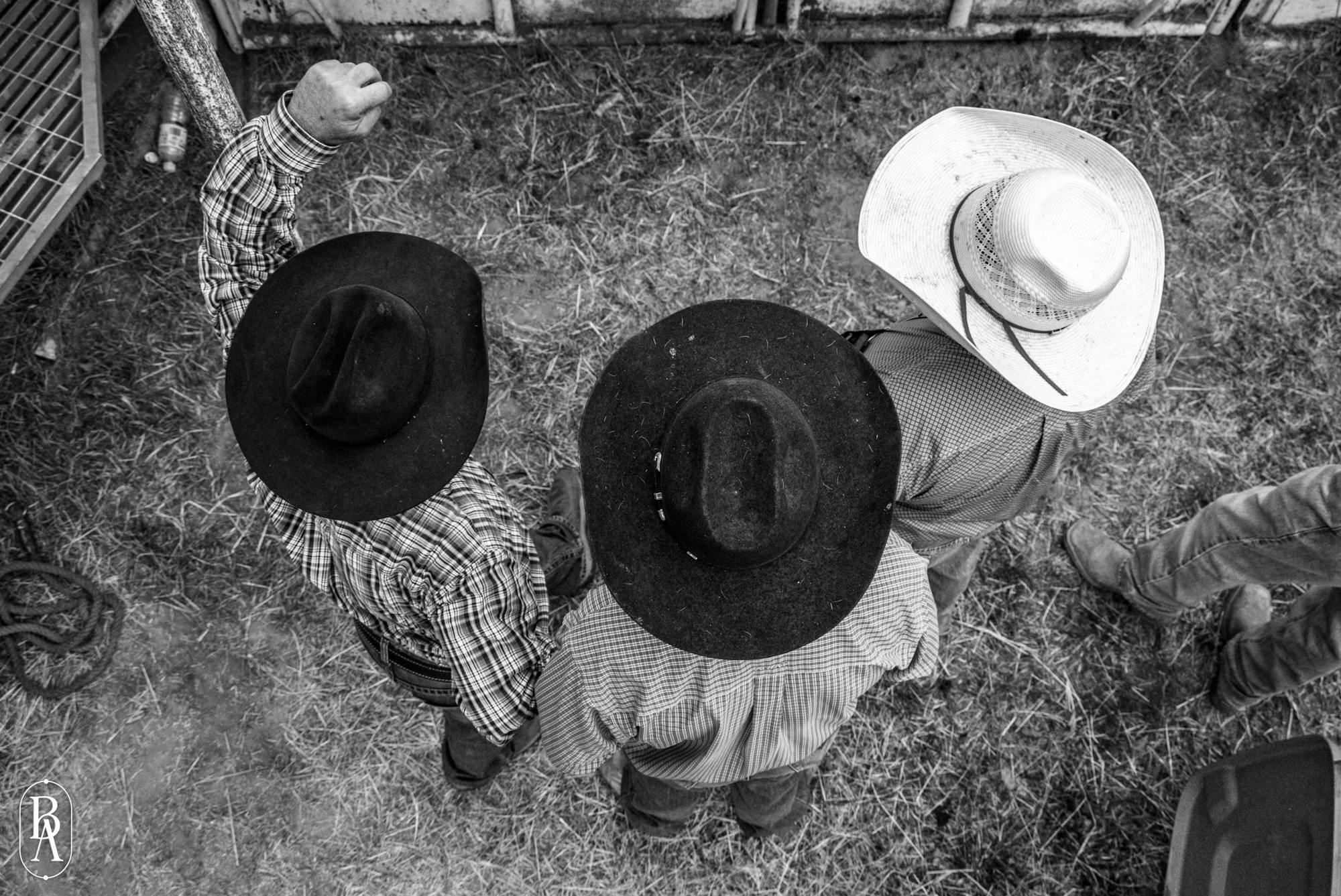 Yass River Co Classic