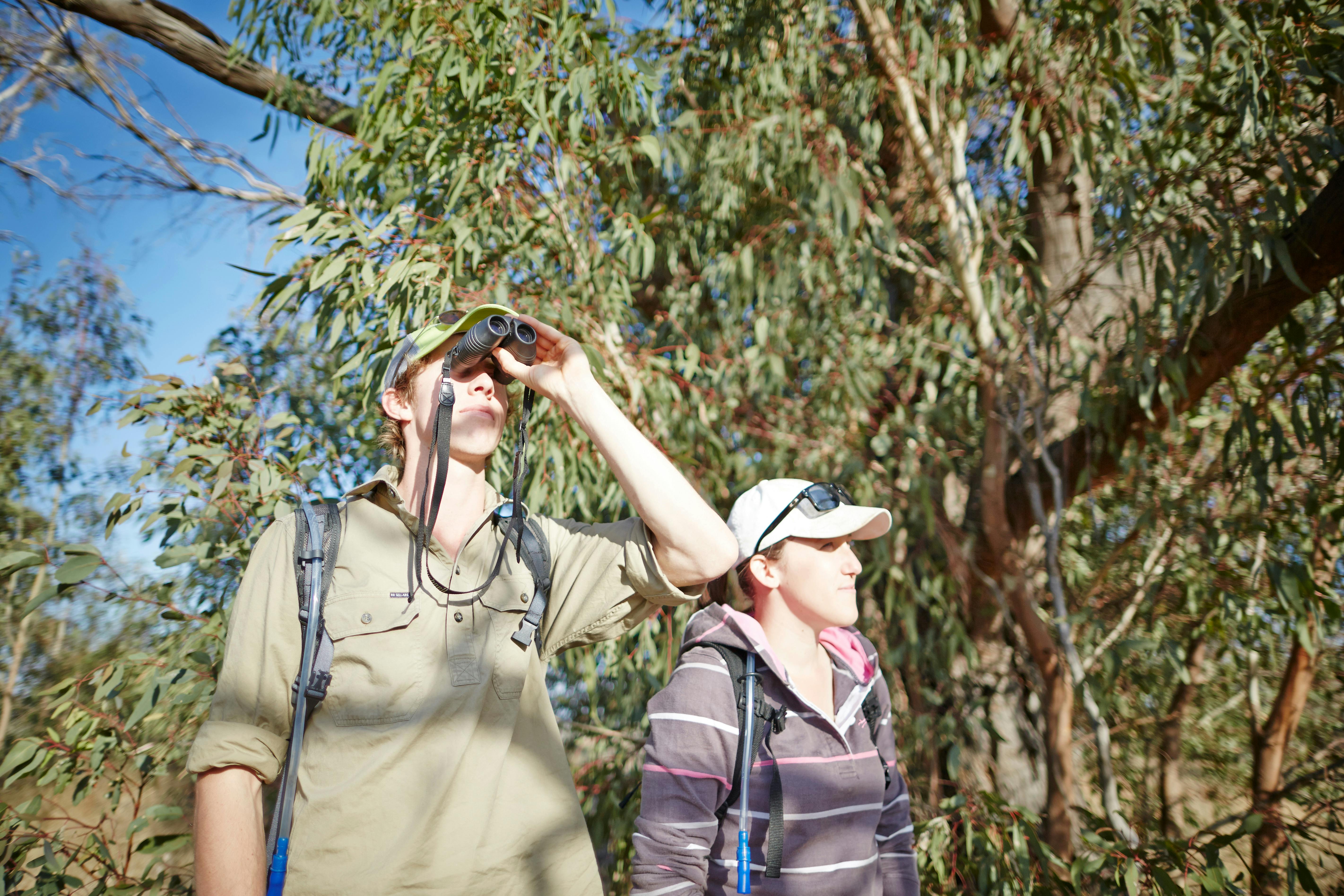 Humphries Hill - Winton Wetlands