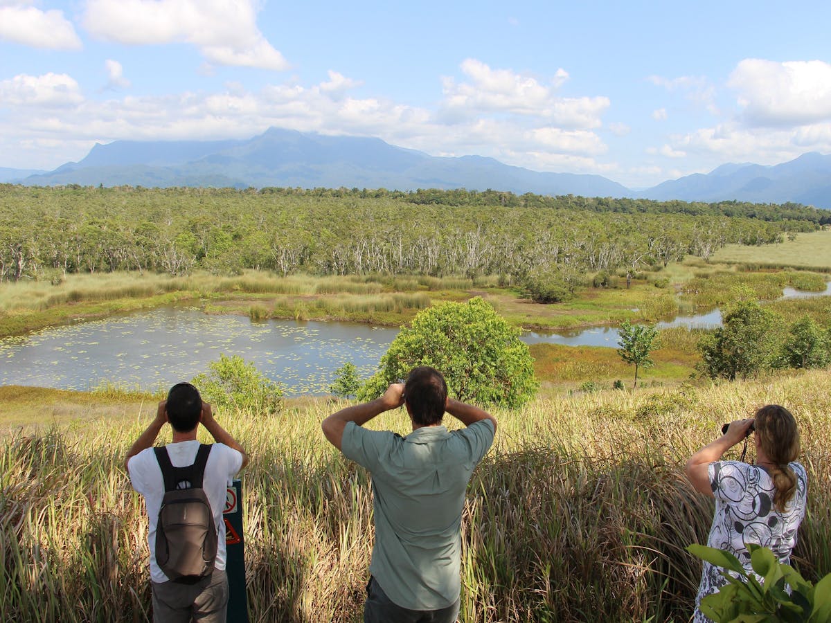 Eubenangee wetlands tour with wooroonooran safaris