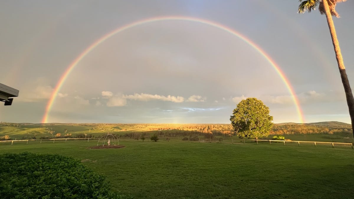 Rainbow