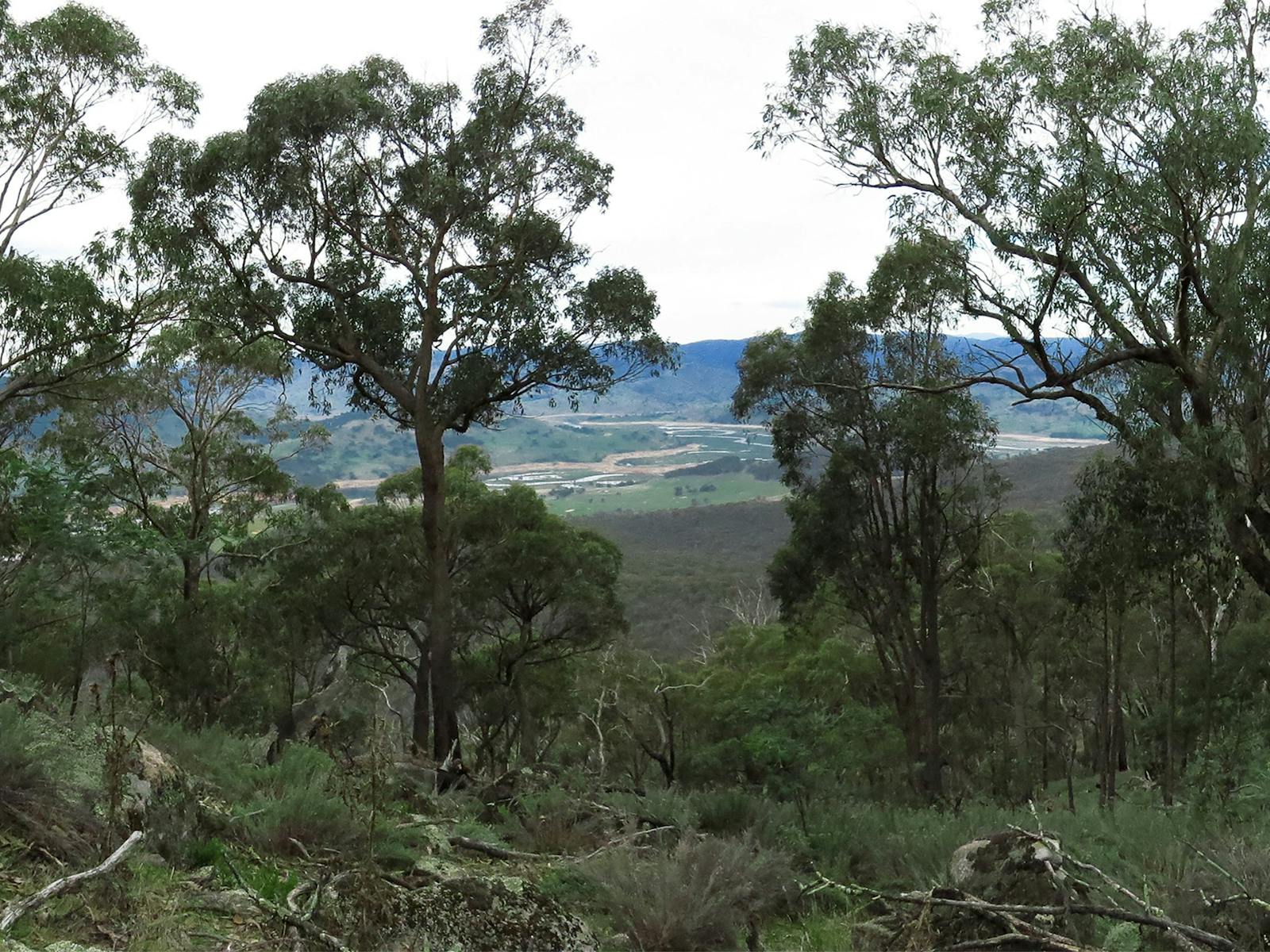 Mount Granya State Park