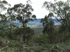 Mount Granya State Park