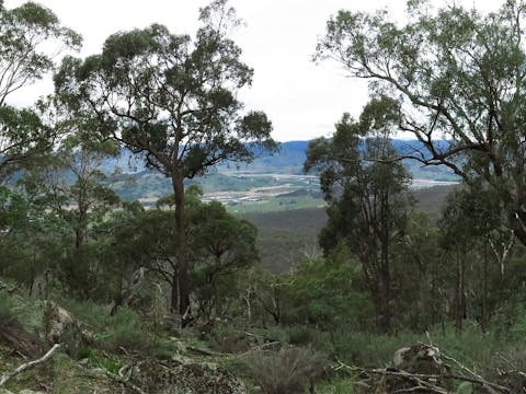 Mount Granya State Park
