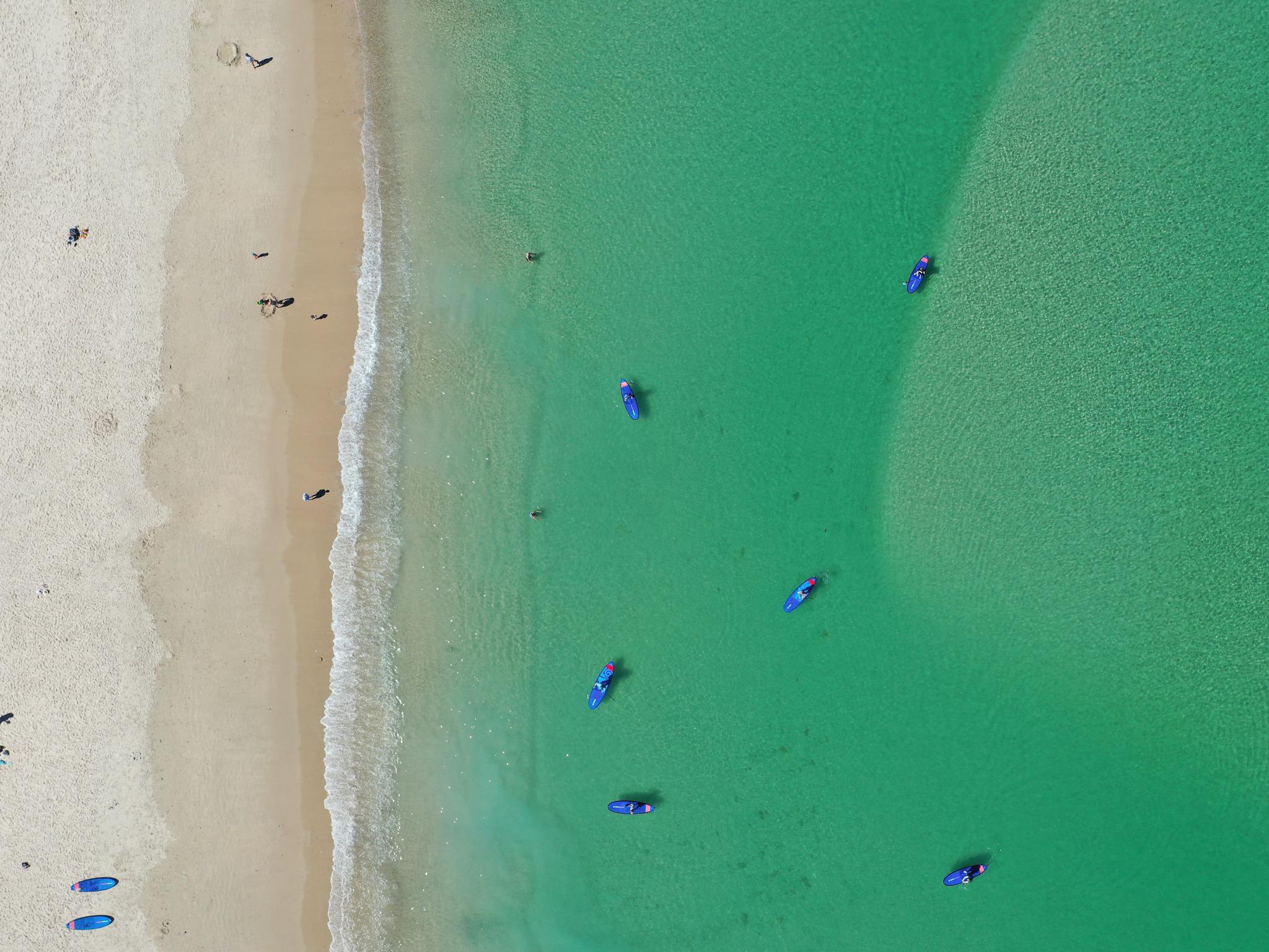 Paddle boarders from above