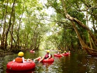 Small group floating down a river surrounded by Wooroonooran National Park rainforest