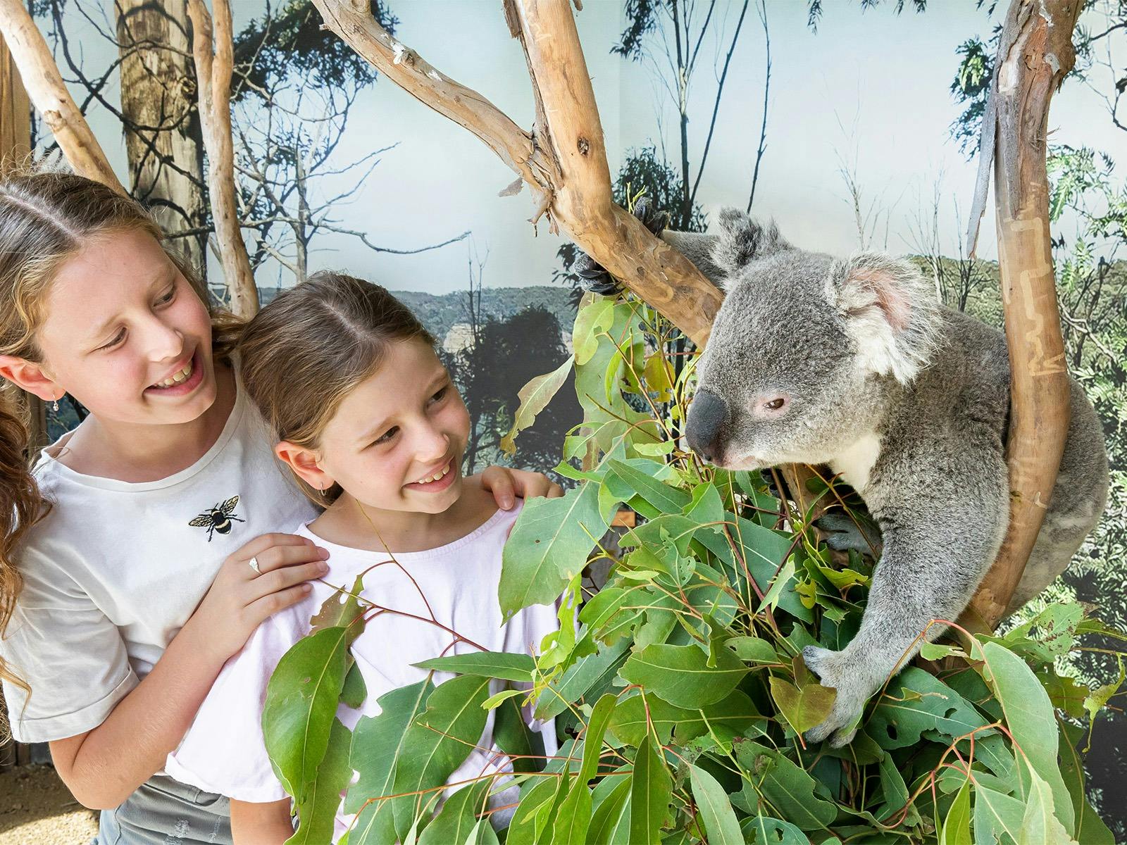 Junge Mädchen lassen sich mit einem Koala fotografieren