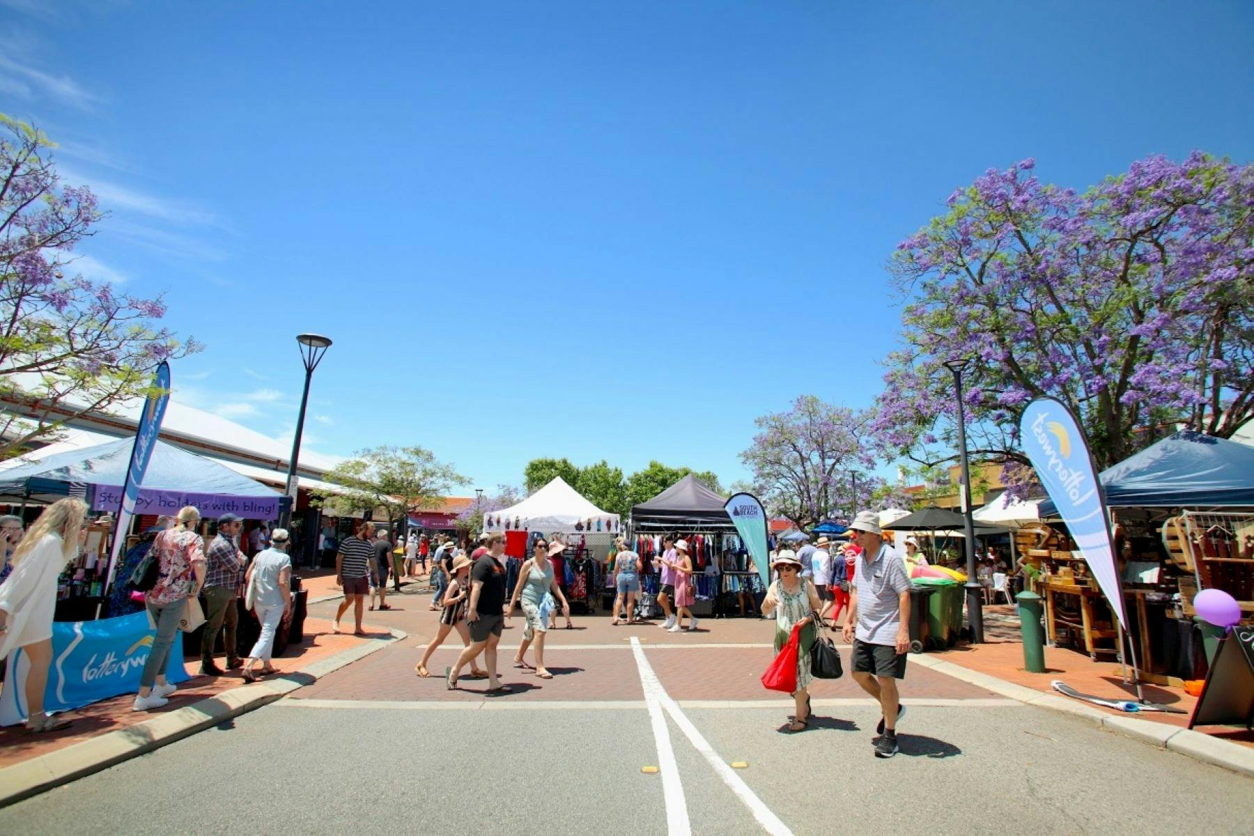 Jacaranda Festival 2024