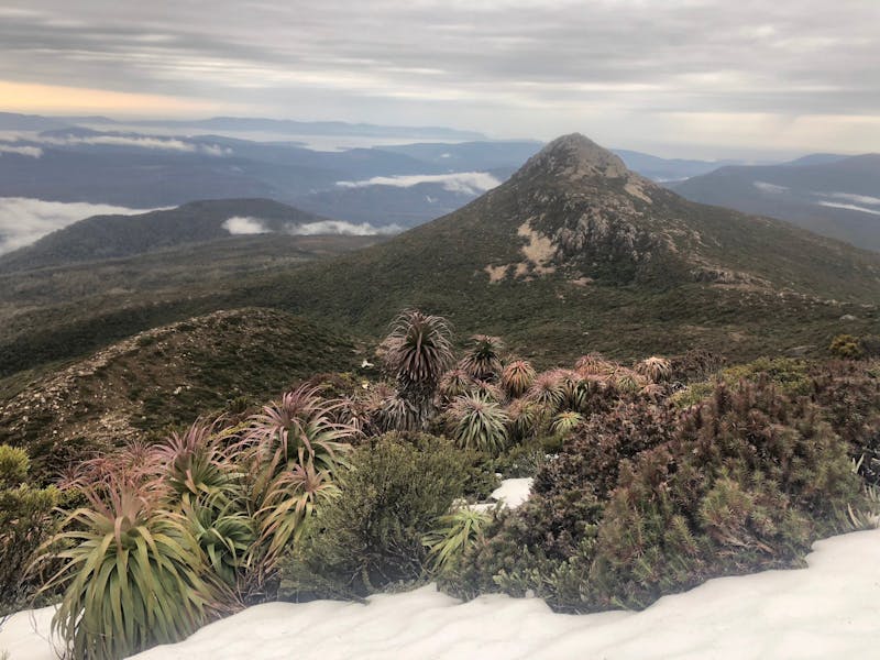 Snowy Peak, Bushwalk, Day Tour, Tasmania
