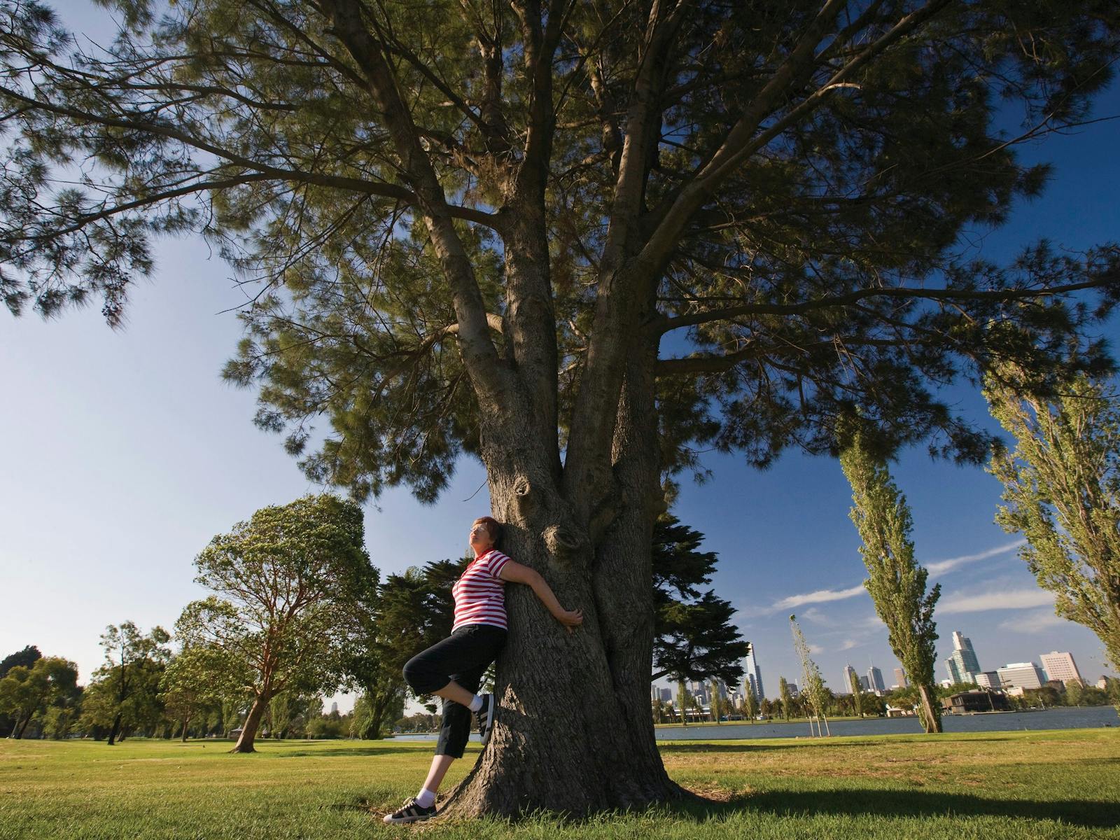 Albert Park