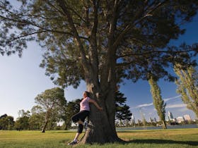 Albert Park