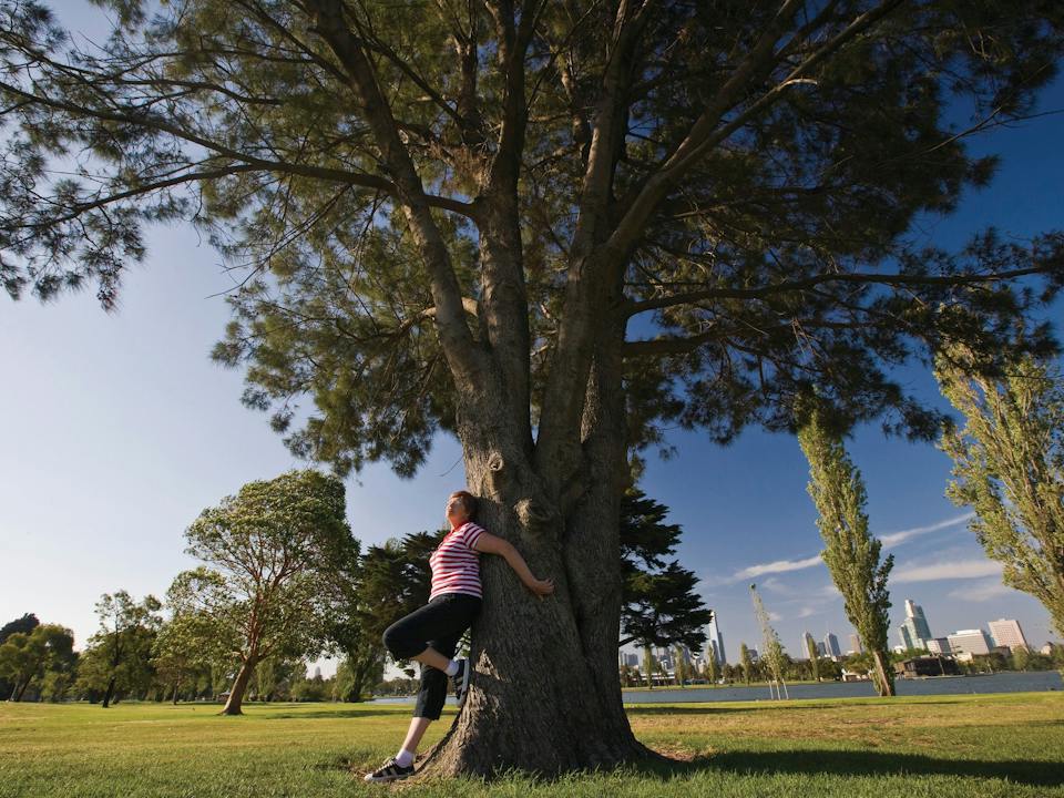 Albert Park