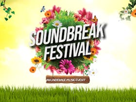 Soundbreak Underage Music Festival Cover Image