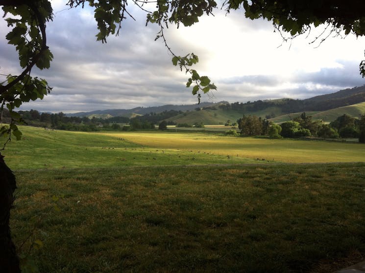 View from the Garden Cottage