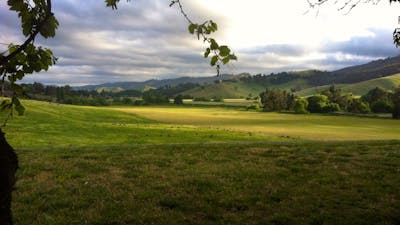View from the Garden Cottage