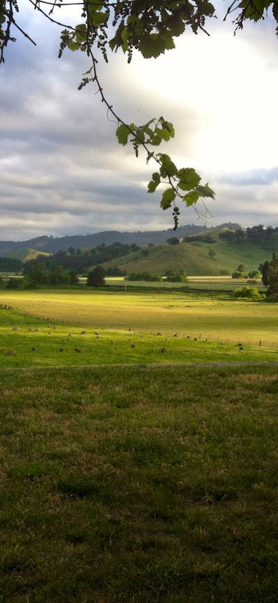 View from the Garden Cottage