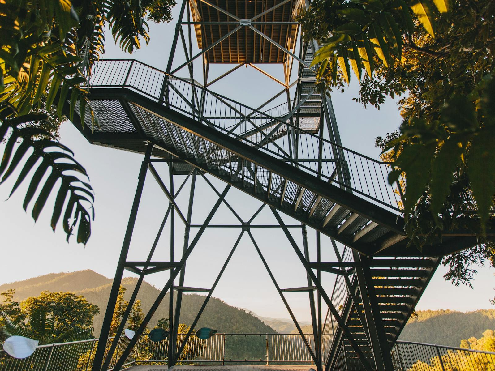 Mamu Tropical Skywalk