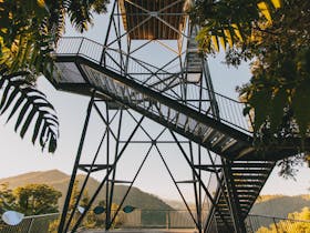 Mamu Tropical Skywalk