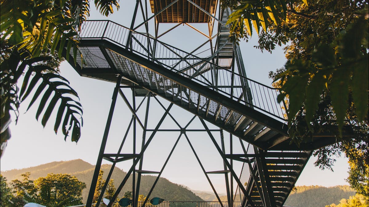 Mamu Tropical Skywalk
