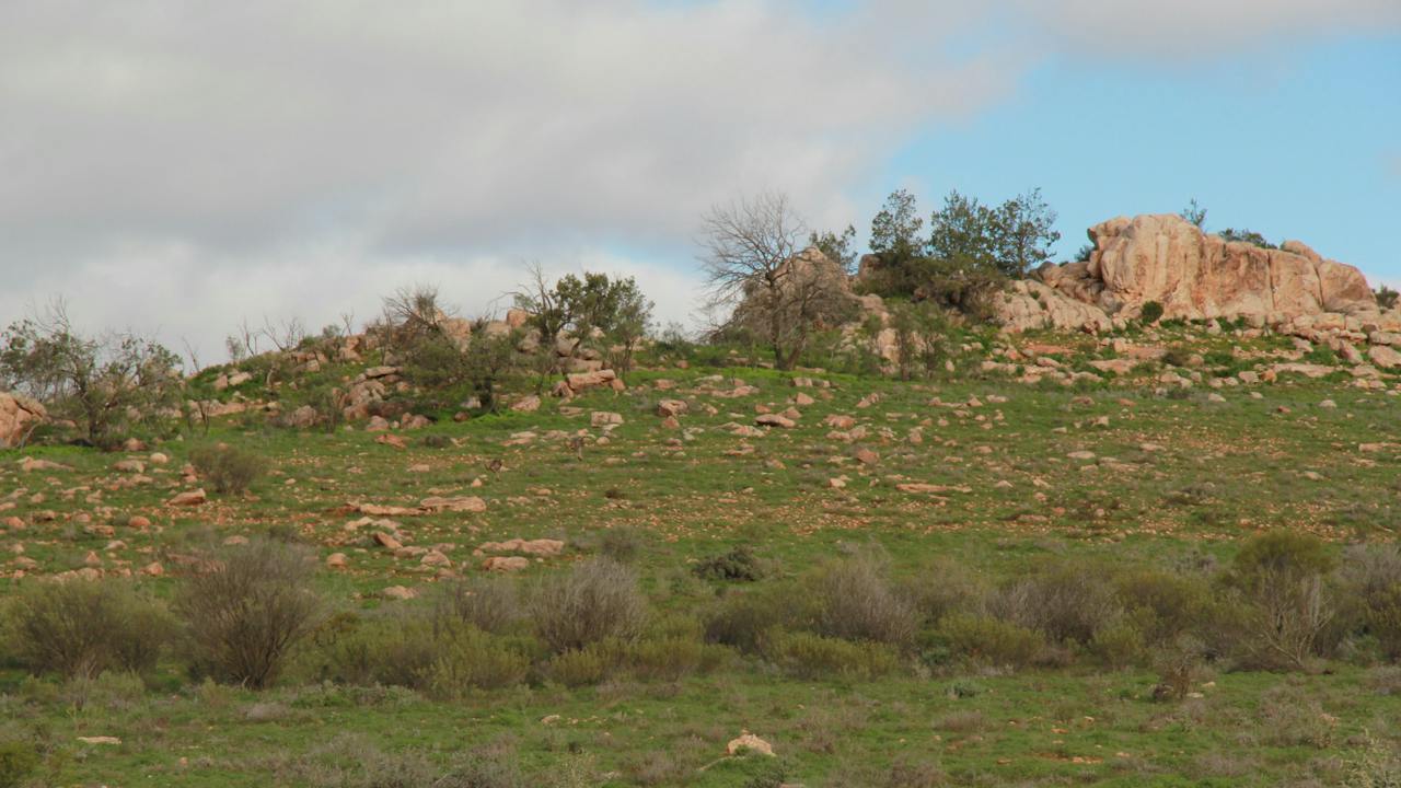 Camel Hump Lookout Walk