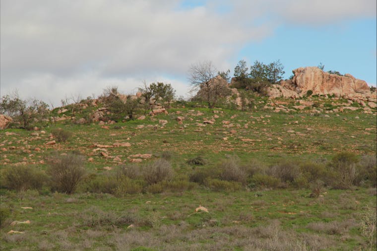 Camel Hump Lookout Walk