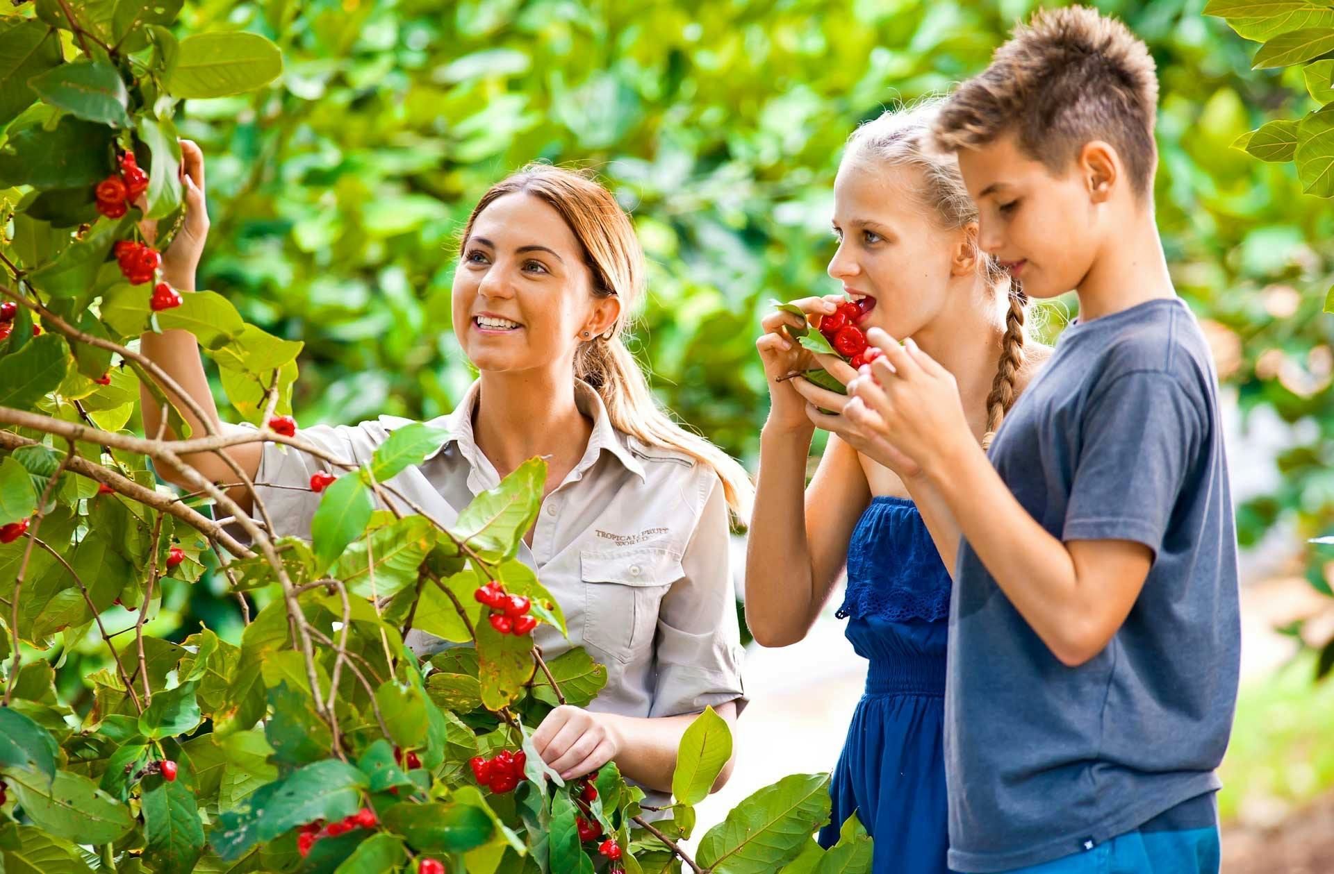 Tropical Fruit World