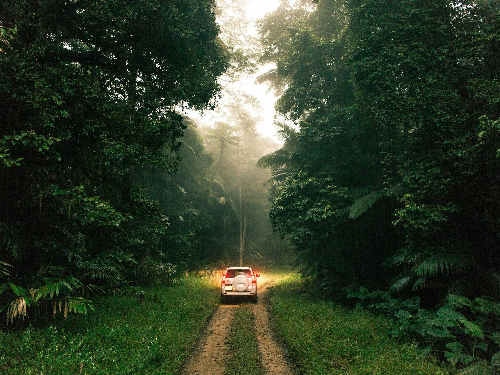 Finch Hatton Driving