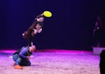 Flipping Disc Dogz