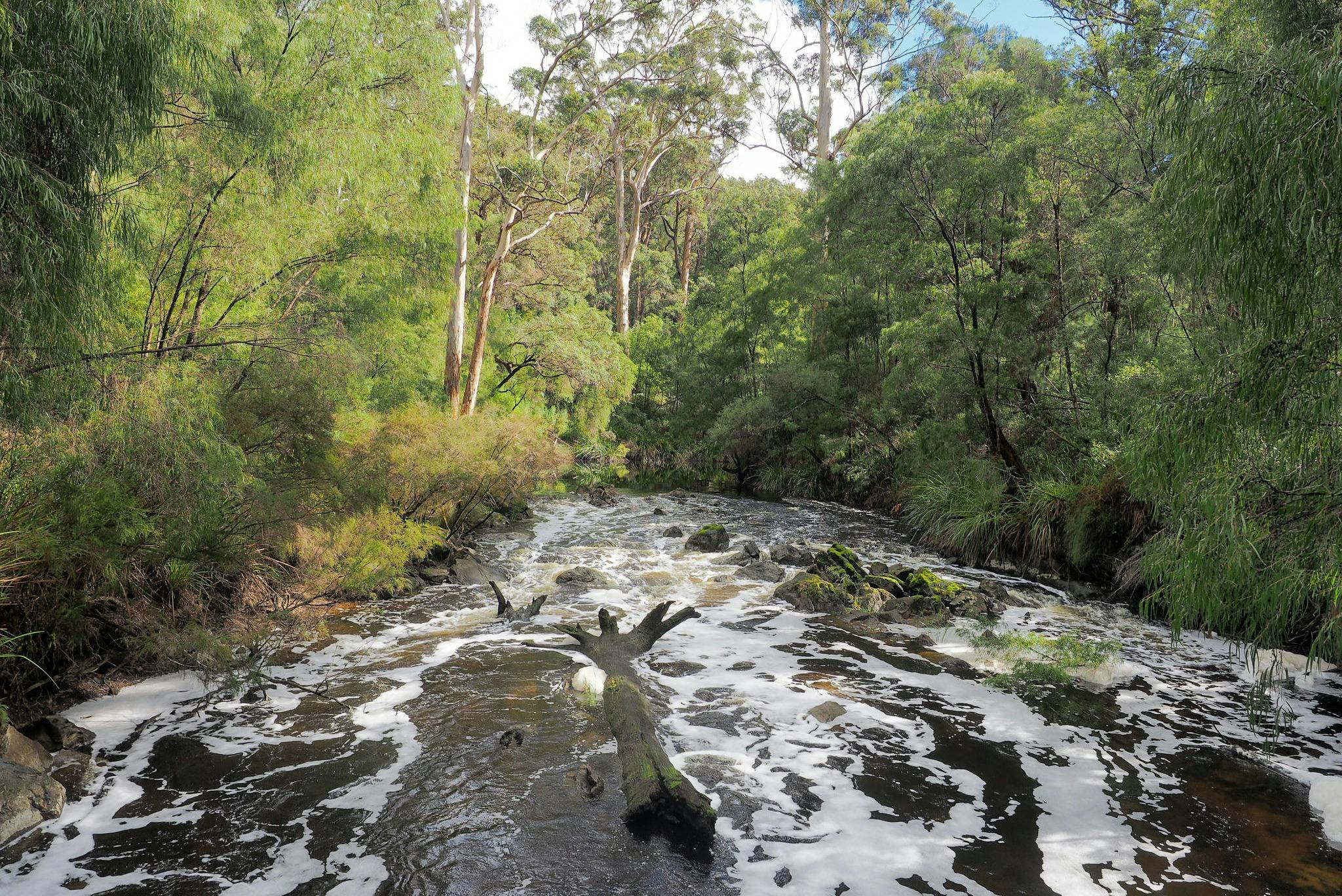 Hike the Bibbulmun Track: Walpole to Denmark