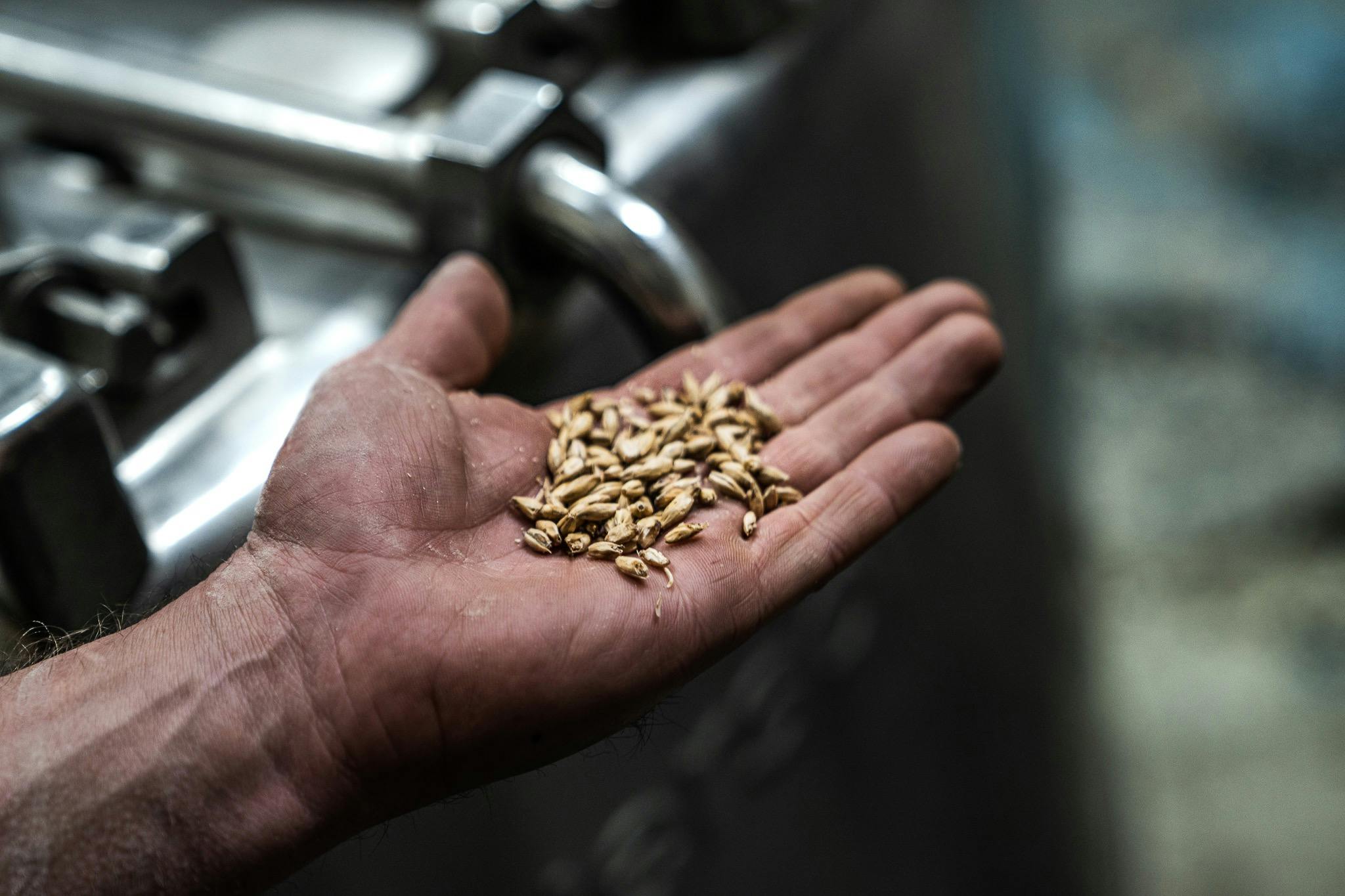 Learn about the Tasmanian Whisky industry