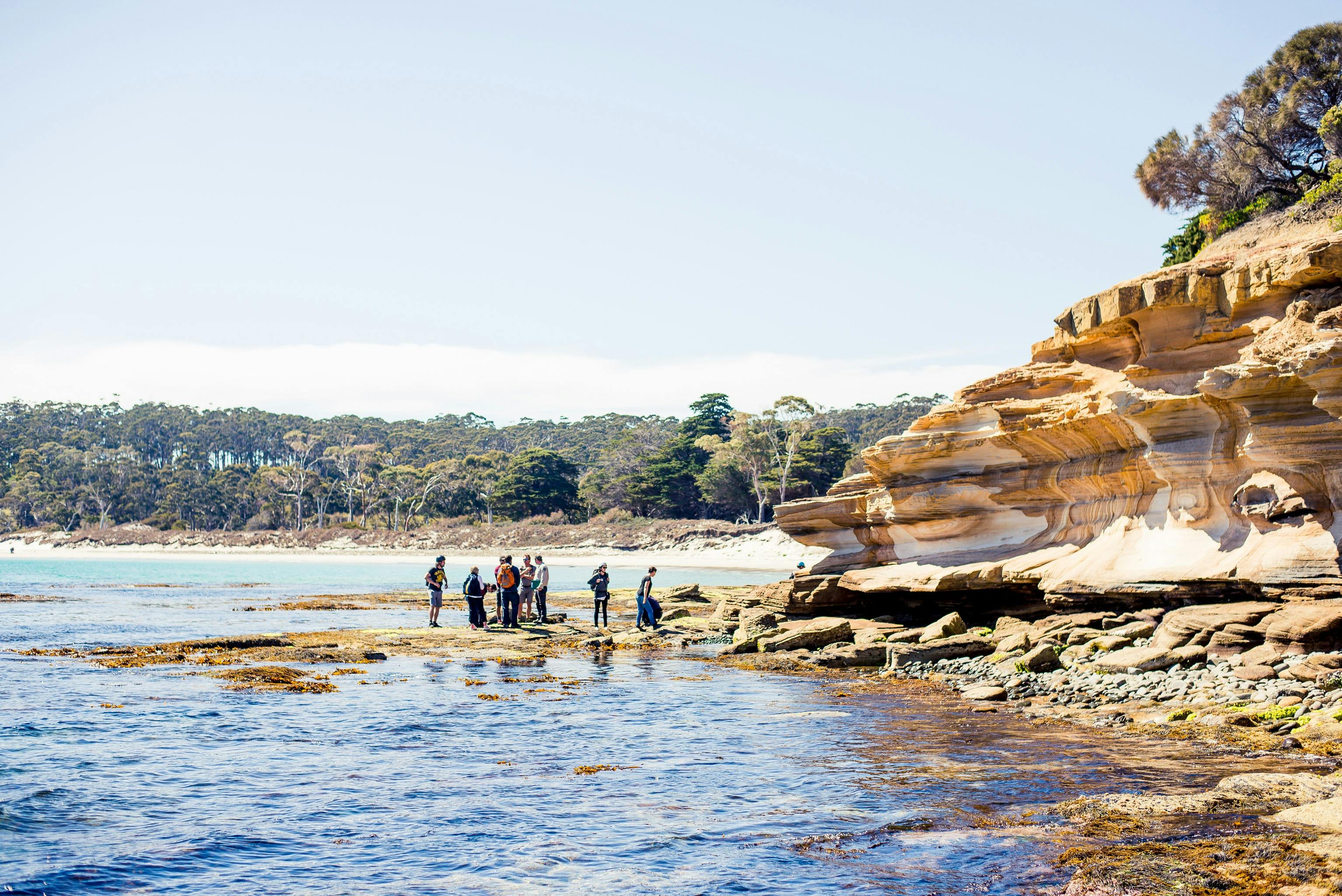 Low tide intertidal wonderland