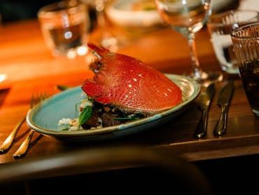 Spanner Crab