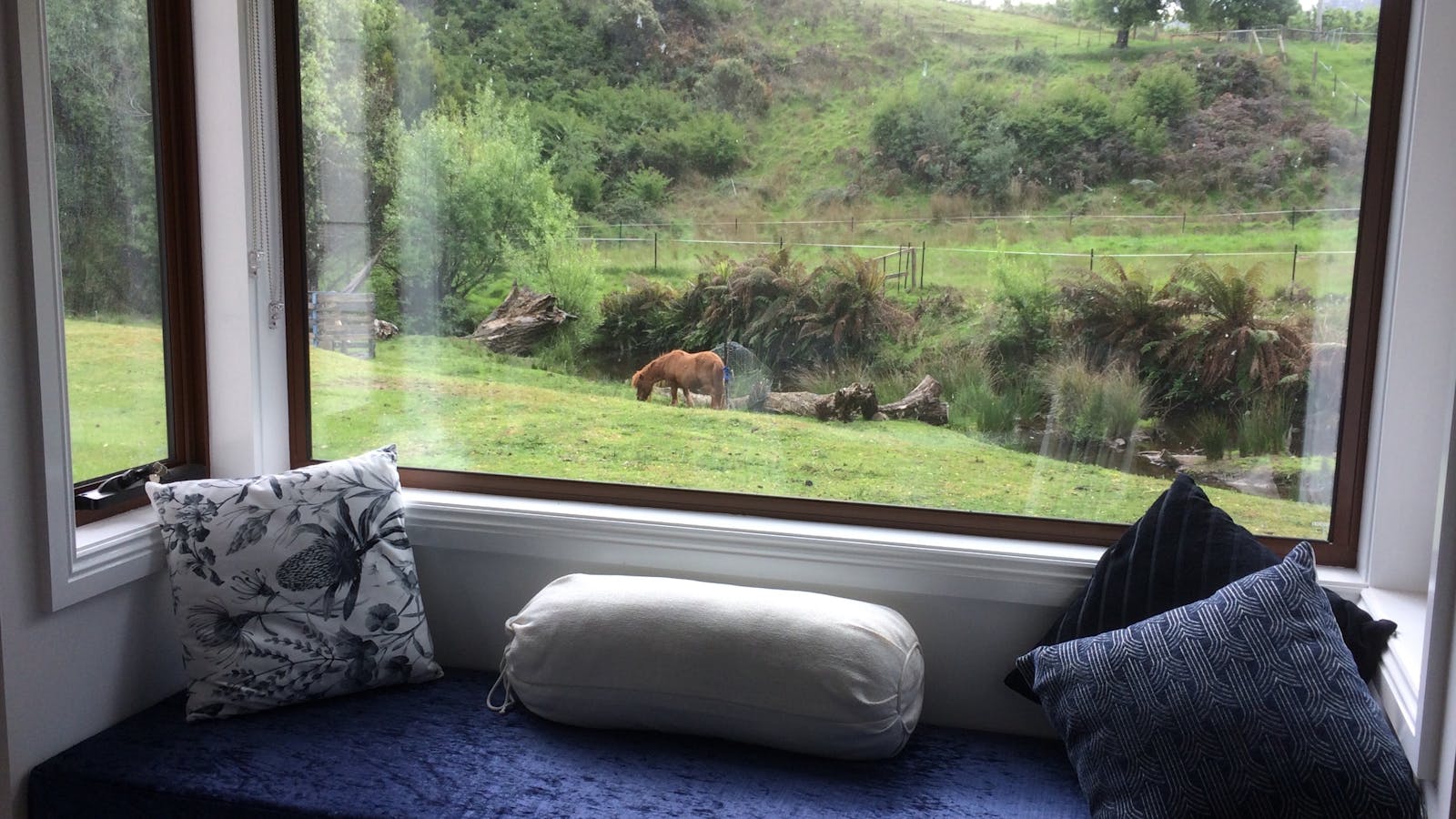 Perfect window seat takes in our friendly animals and our resident platypus at play