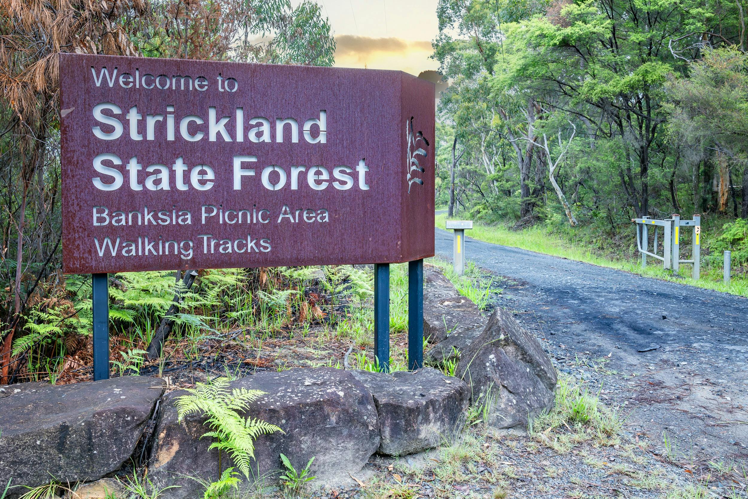 Gateway signage at Strickland State Forest