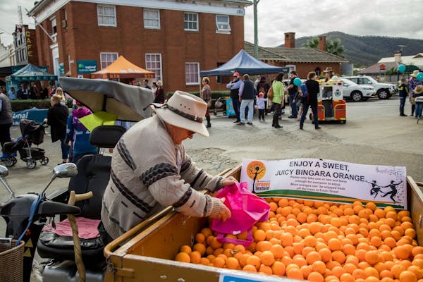 Bingara Orange Festival
