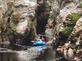 Drifting through the Irenabyss on a Franklin River rafting trip
