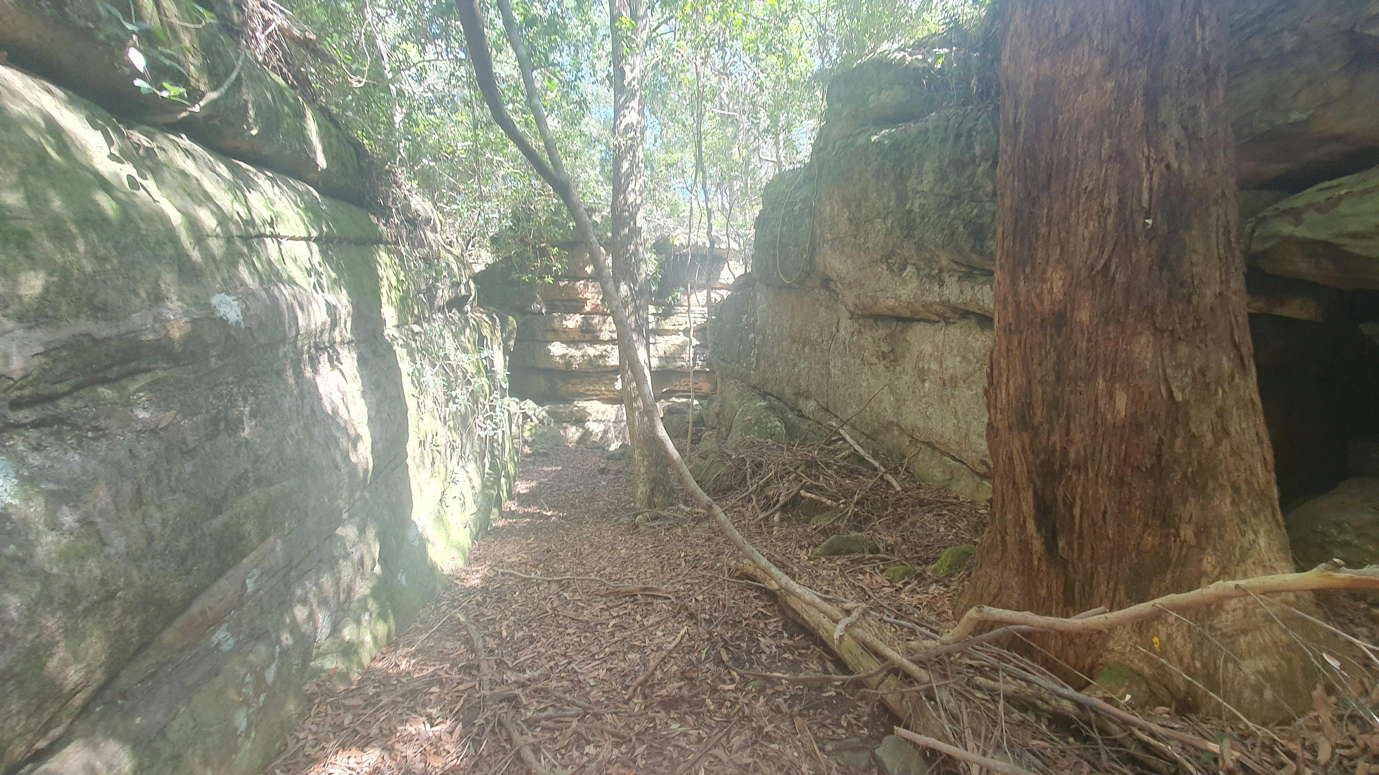rocks