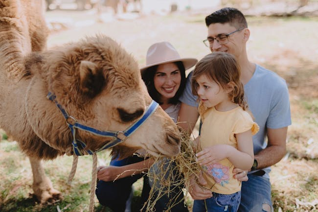 Meet + Greet Encounters at Wagga Zoo