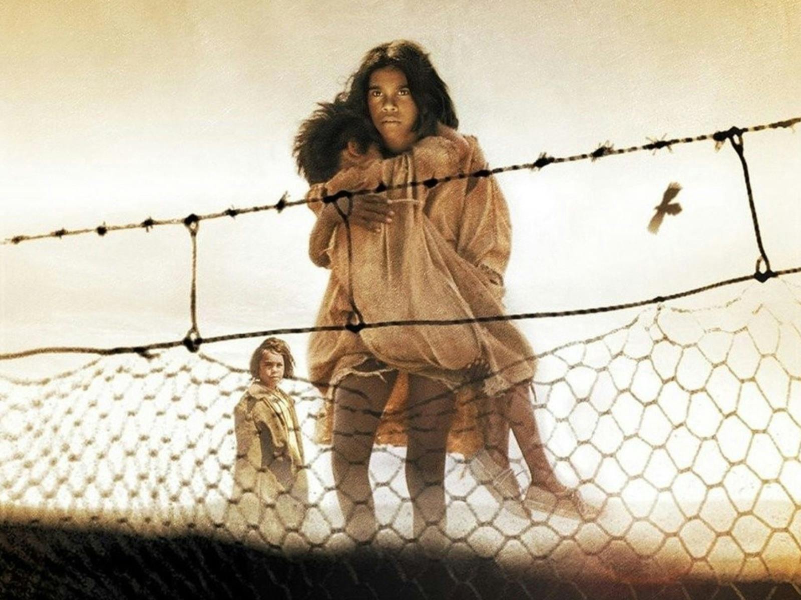 防兔围栏 - 电影放映