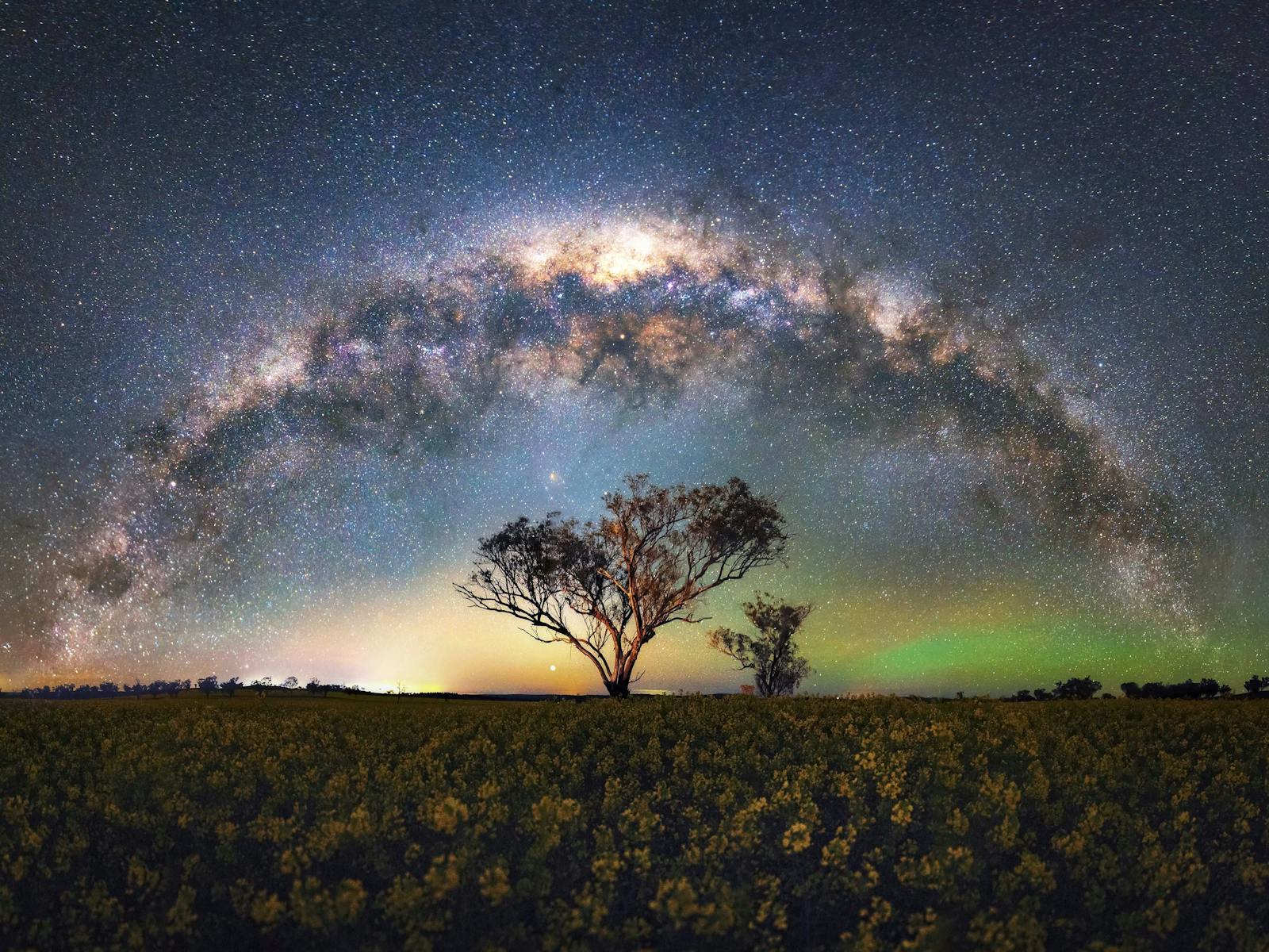 Canberra Milky Way Masterclass - Field of Stars