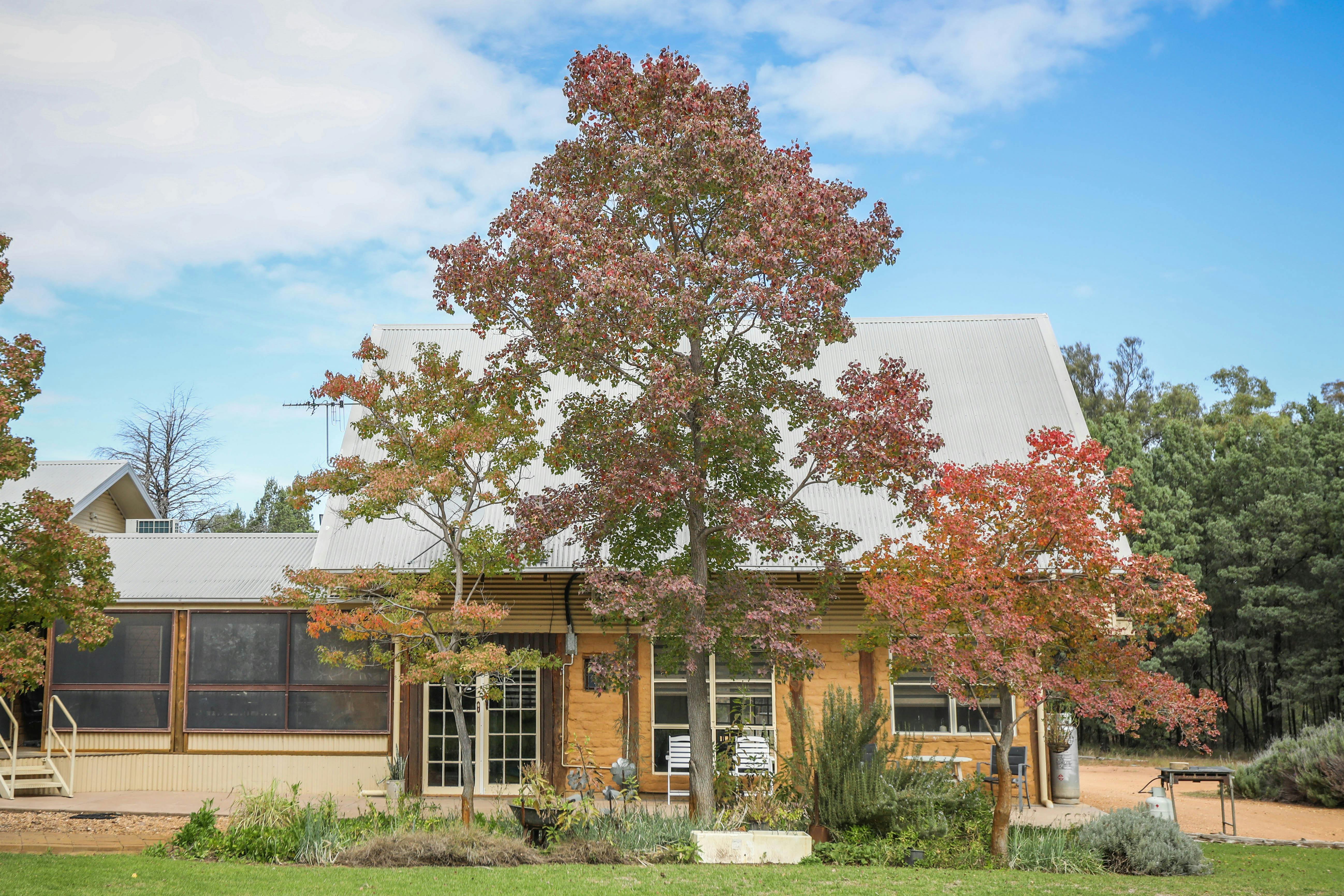 Earth n Timber Cottage