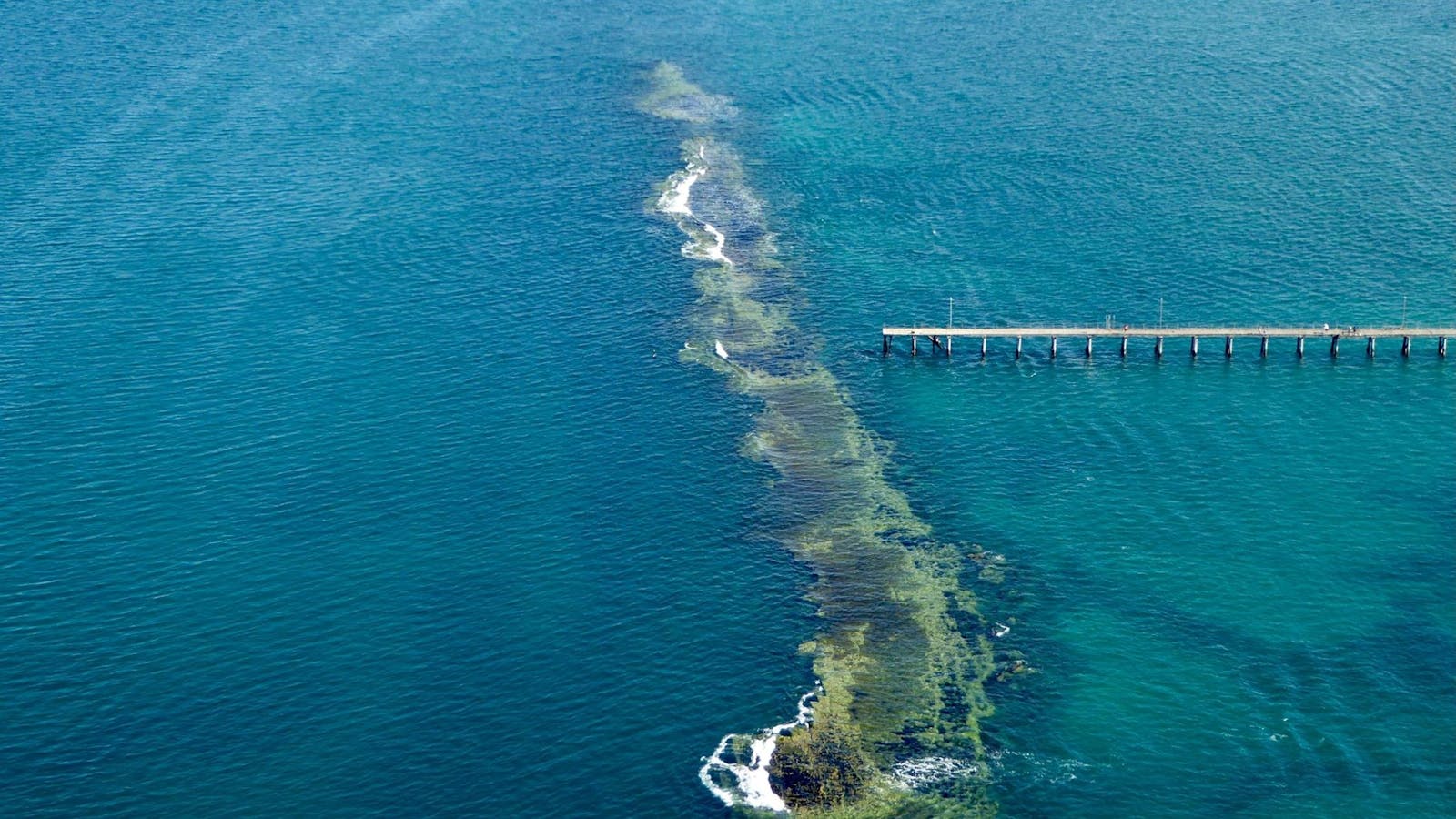 Port Noarlunga Reef Sanctuary Zone - Encounter Marine Park
