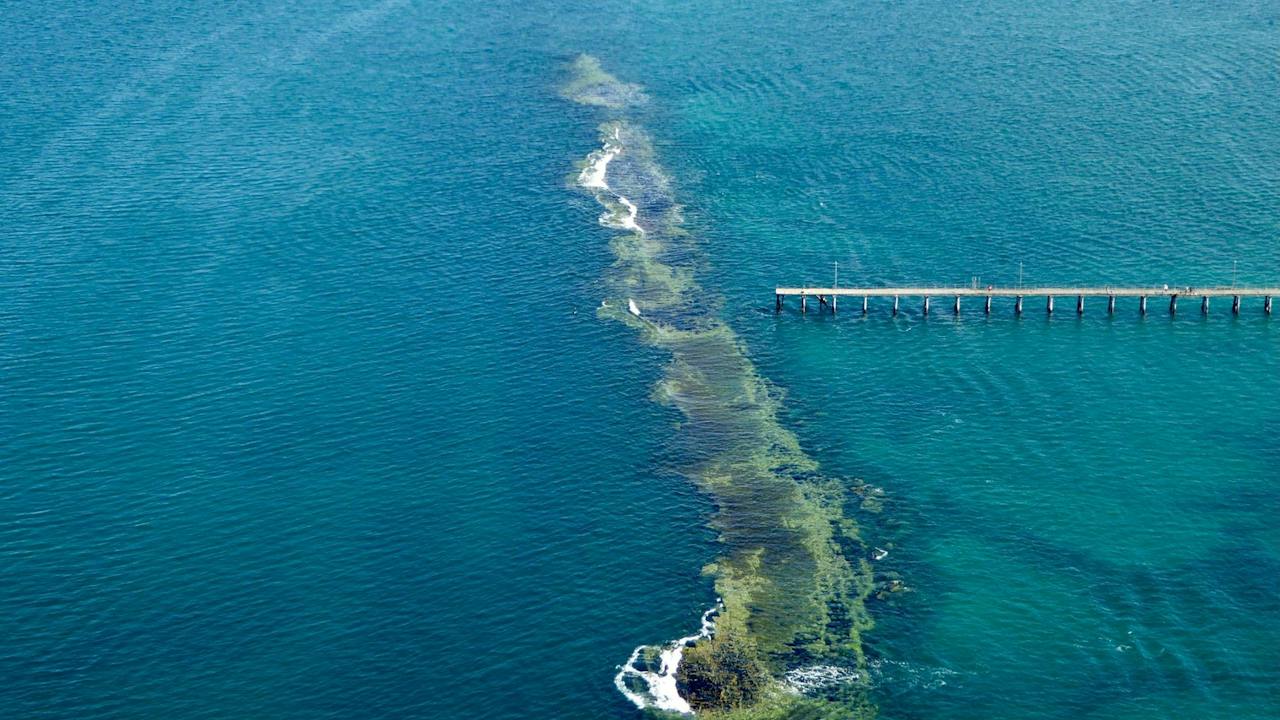 Port Noarlunga Reef