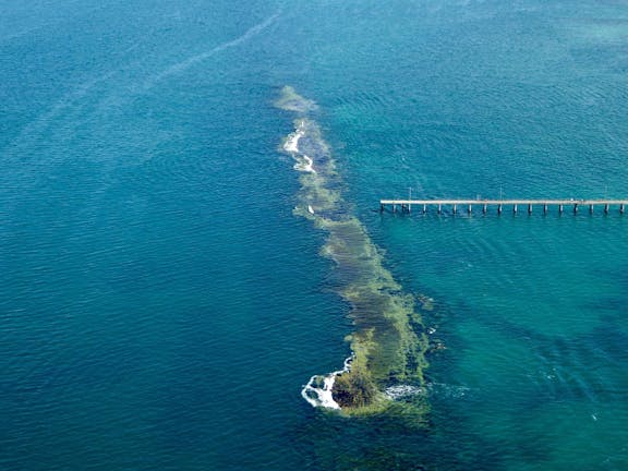 Port Noarlunga Reef Sanctuary Zone - Encounter Marine Park