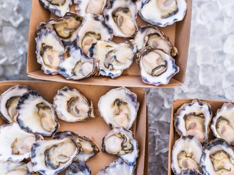 Image for Oysters in the Vines - Seafood and Wine Festival