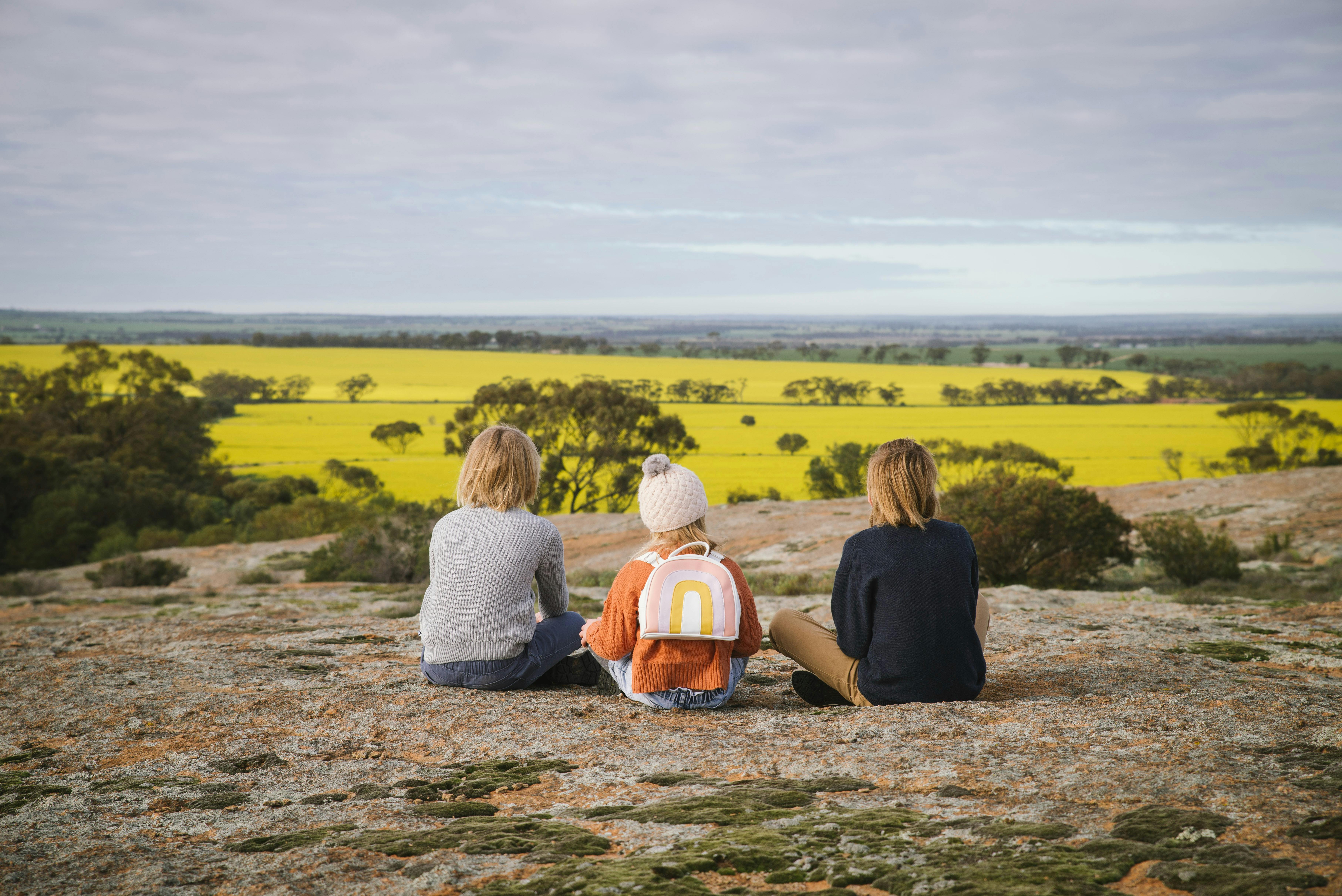 3 Children sitting on rock in background is yellow flowering canola.