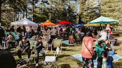 An image of Haig Park Village Markets